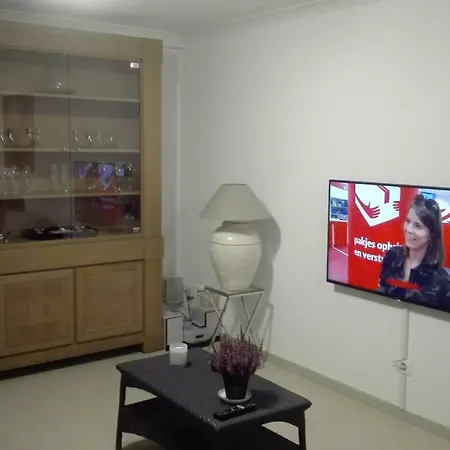 Hydro Palace Apartment *