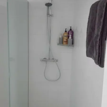 Hydro Palace דירה *